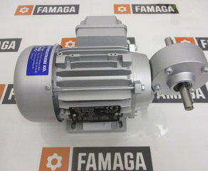 мотор-редуктор BONORA MOTORI